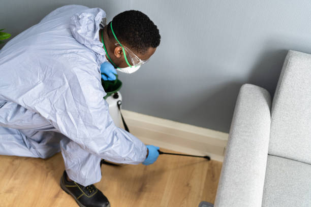 Best Real Estate Pest Inspections  in Darnestown, MD